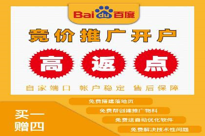 成功运用百度竞价代理，实现品牌快速崛起